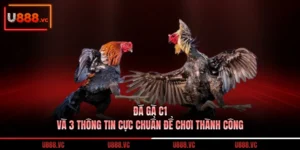 da-ga-c1-va-3-thong-tin-cuc-chuan-de-choi-thanh-cong