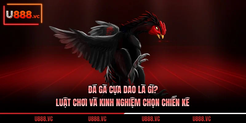 da-ga-cua-dao-la-gi-luat-choi-va-kinh-nghiem-chon-chien-ke