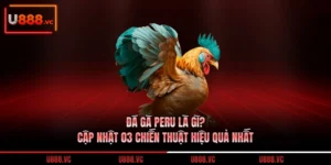 da-ga-peru-la-gi-cap-nhat-03-chien-thuat-hieu-qua-nhat