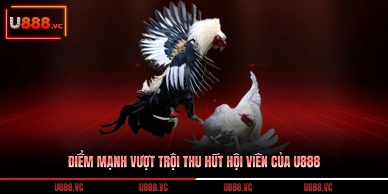 diem-manh-vuot-troi-thu-hut-hoi-vien-cua-u888