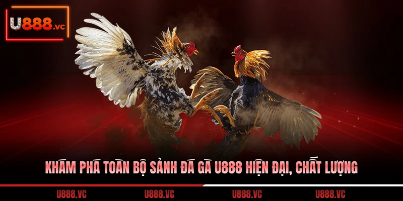 kham-pha-toan-bo-sanh-da-ga-u888-hien-dai-chat-luong