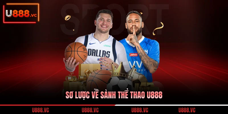 so-luoc-ve-sanh-the-thao-u888