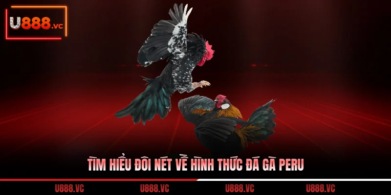 tim-hieu-doi-net-ve-hinh-thuc-da-ga-peru